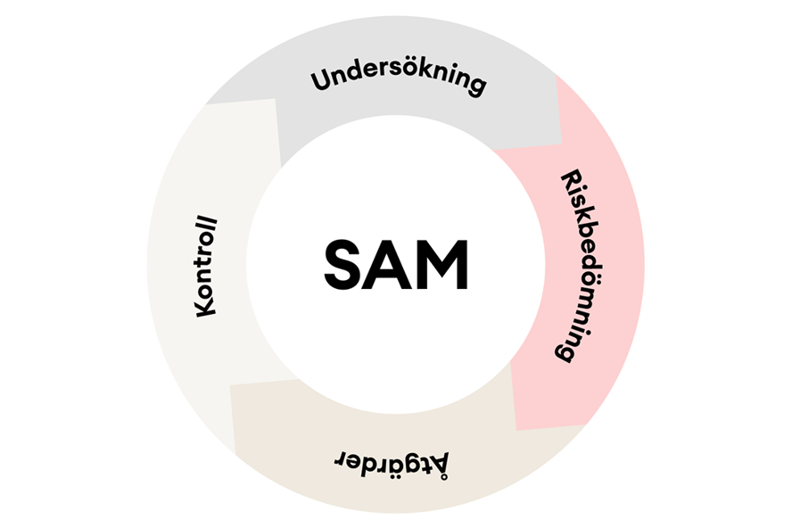 SAM-hjulet bestående av momenten Undersökning, Riskbedömning, Åtgärder och Kontroll och som sedan börjar om på Undersökning igen.