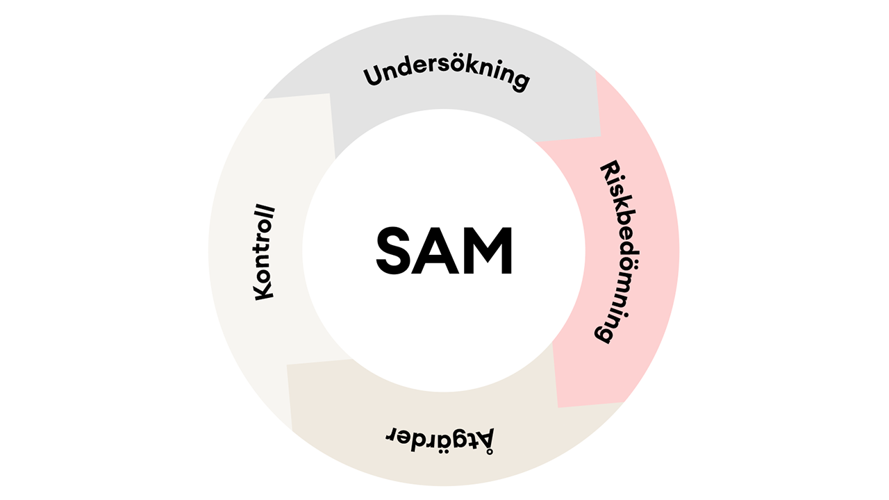 SAM-hjulet bestående av momenten Undersökning, Riskbedömning, Åtgärder och Kontroll och som sedan börjar om på Undersökning igen.