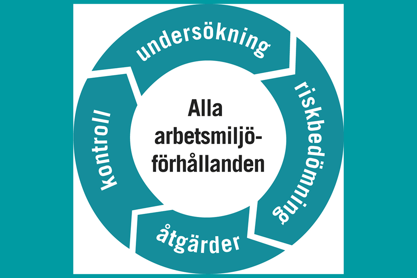 SAM-hjulet: I mitten, alla arbetsmiljöförhållanden. I ett hjul runtom, undersökning, riskbedömning, åtgärder och kontroll.