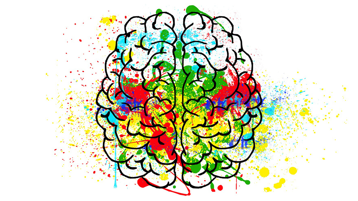 Illustrerad bild av hjärna med olika färger