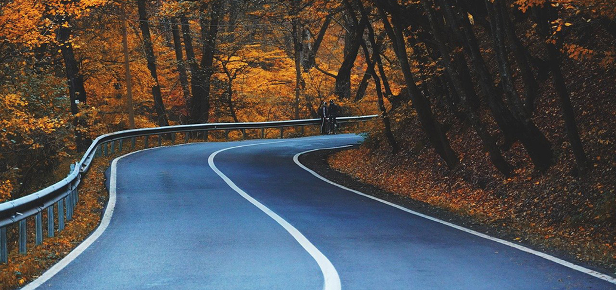 Väg i höstmiljö.