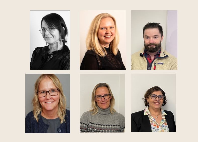 Från höger, översta rad: Patricia, Lisa och Thomas, HR specialister, och från höger, nedersta rad: Camilla (HSO), Ulrika (AMO) och Sori (Saco)