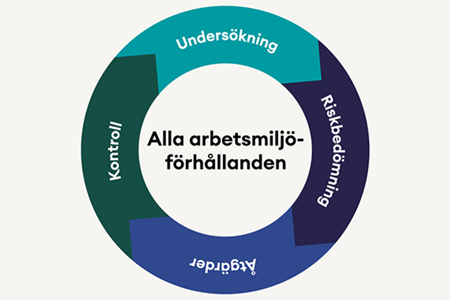 SAM-hjulet bestående av momenten Undersökning, Riskbedömning, Åtgärder och Kontroll och som sedan börjar om på Undersökning igen.