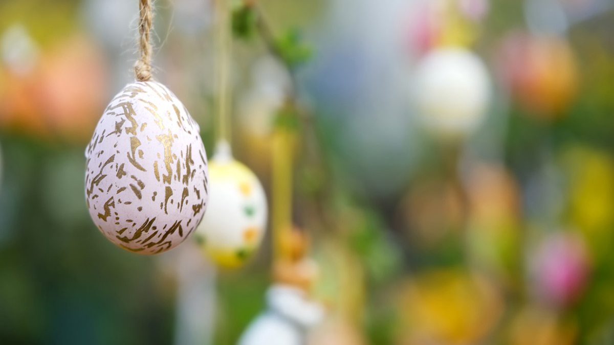 påskägg i olika färger hänger på en gren