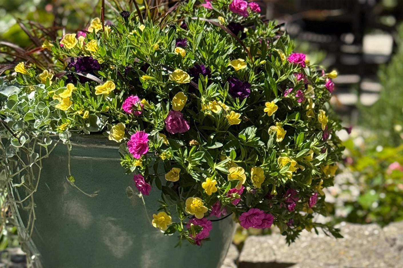 Kruka med sommarblommor